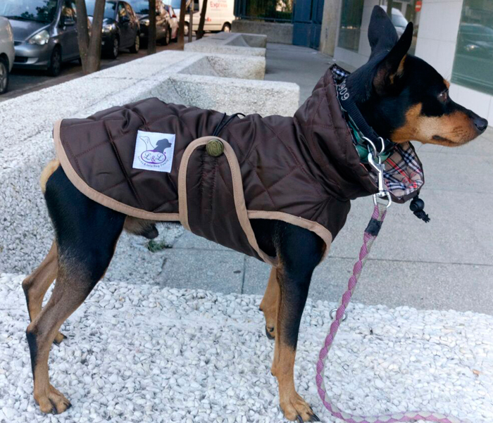 abrigo para perro impermeable marron