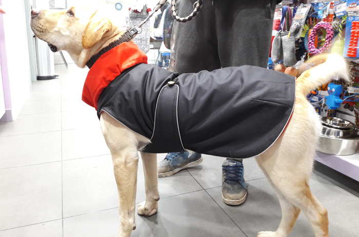 abrigo para perro impermeable negro