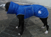 impermeable para perro