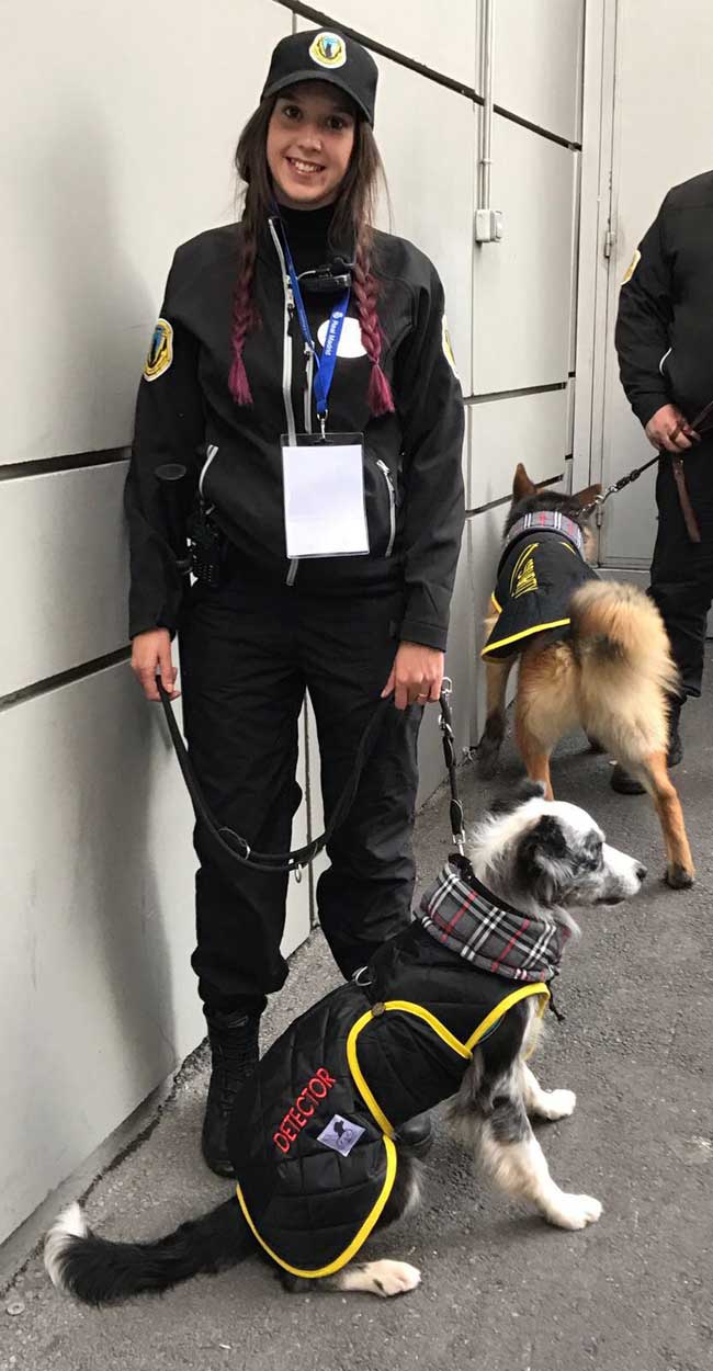 uniforme perro detector explosivos
