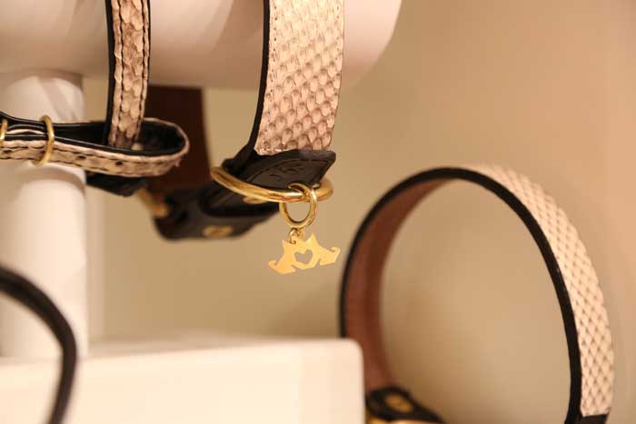 collar piel de piton para perro