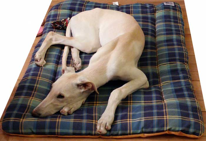 cama cuadros escoceses para perro