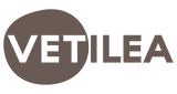 Vetilea
