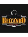 Belcando