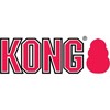Kong