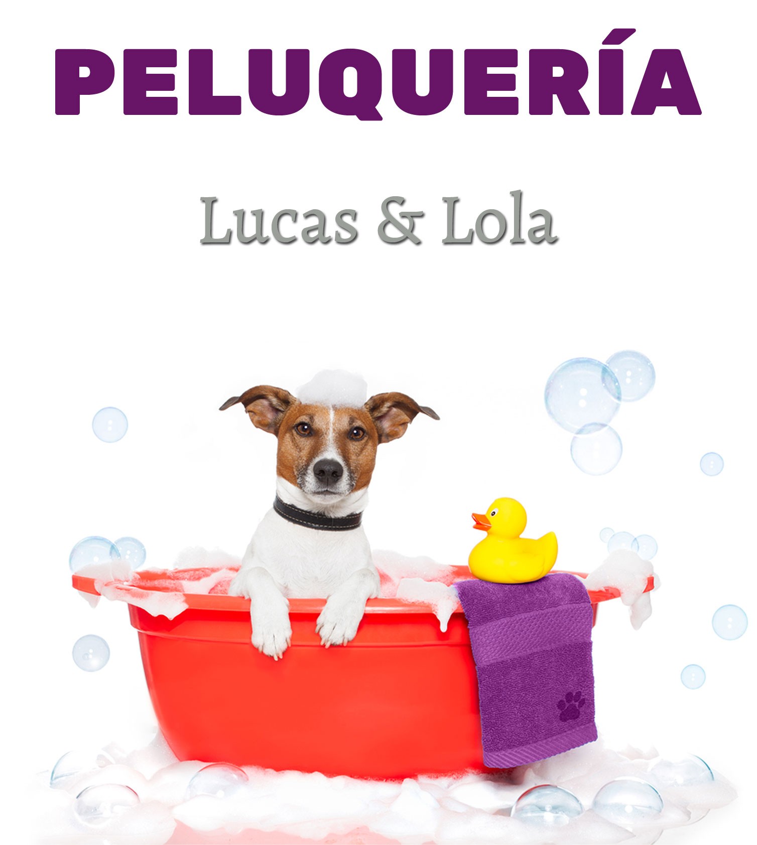https://lucasylola.es/modules/iqithtmlandbanners/uploads/images/5fa126e0981aa.jpg