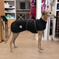 cat Impermeable Galgo