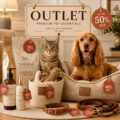cat outlet