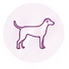 Perro de pie