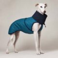 Abrigo Galgo