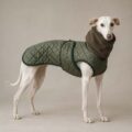 Abrigo Whippet