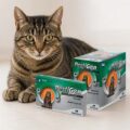 Antiparasitarios para Gatos