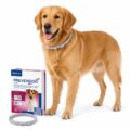 Antiparasitarios y Repelentes para perros