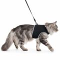 Arneses para Gatos