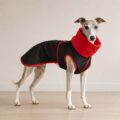 Impermeable Whippet