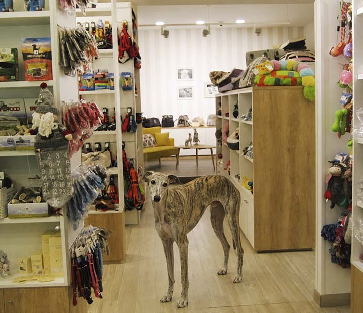Interior de la tienda Lucas & Lola