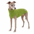 Jersey Piccolo
