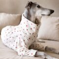 Pijama Galgo