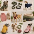 Ropa y accesorios para perros