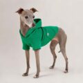 Sudadera para piccolo