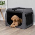 Transporte de perros
