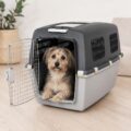 Transportines para perros