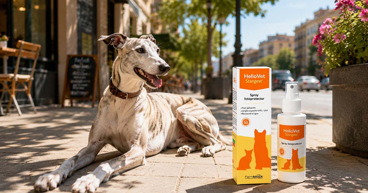 Protector solar para perros