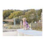 Impermeables para perros modelo Vimy rosa de Trixie - Imagen 4
