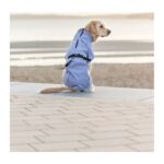 Impermeables para perros modelo Vimy lila de Trixie - Imagen 5