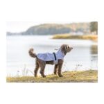 Impermeables para perros modelo Vimy lila de Trixie - Imagen 6
