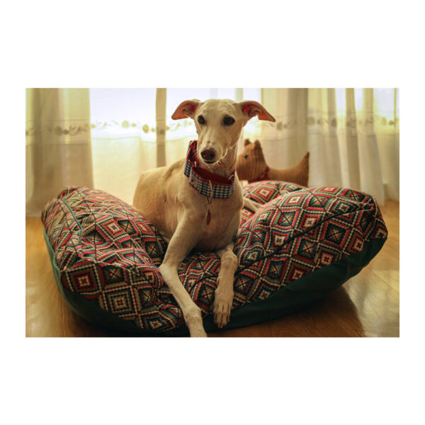Cama especial para galgo modelo Aneto