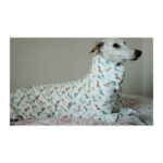 Pijama de galgo felpa dinosaurios - Imagen 2