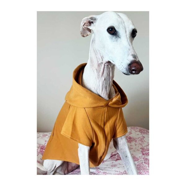 Sudadera para galgo color caramelo