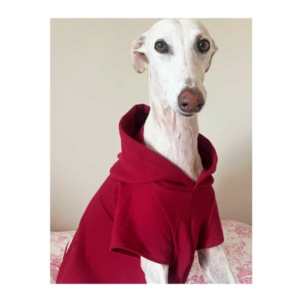 Sudadera para galgo color granate