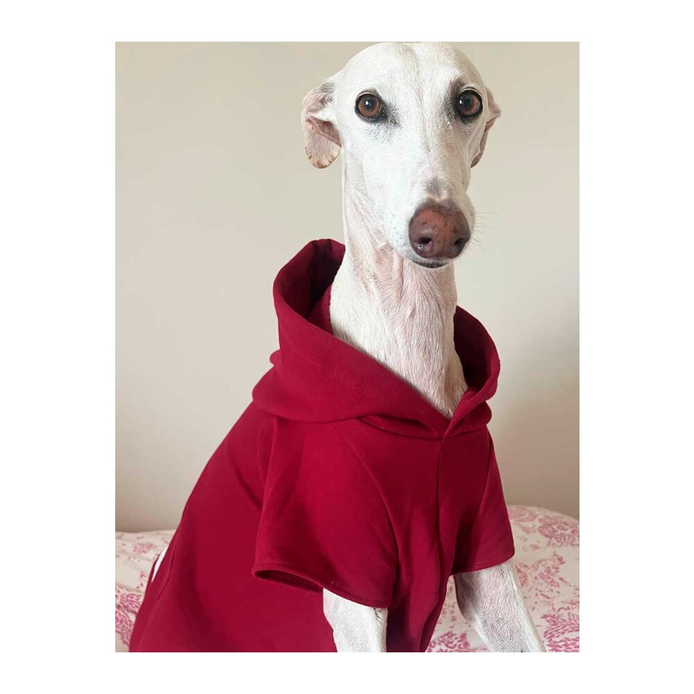 sudadera-galgo-granate Sudadera para galgo color granate - Imagen 1