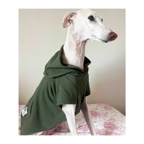 Sudadera para galgo color verde kaky