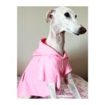 Sudadera para galgo color rosa palo