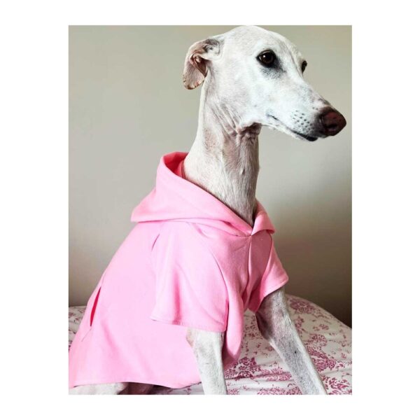 Sudadera para galgo color rosa palo