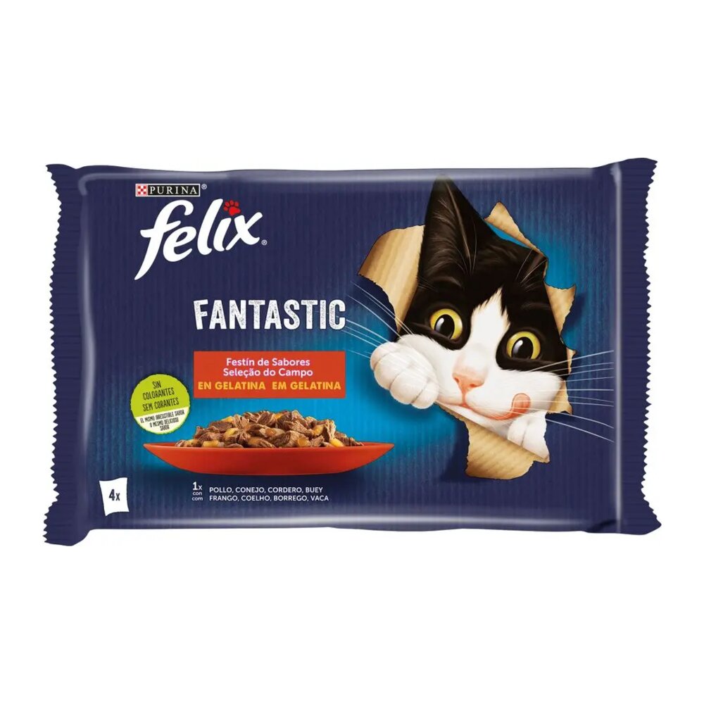 Felix Fantastic fetín de carnes