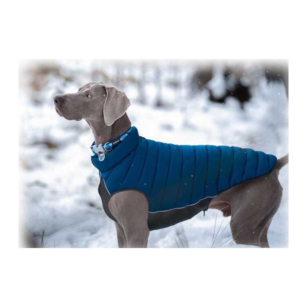 Abrigo reversible para perro Red Dingo Puffer Jacket
