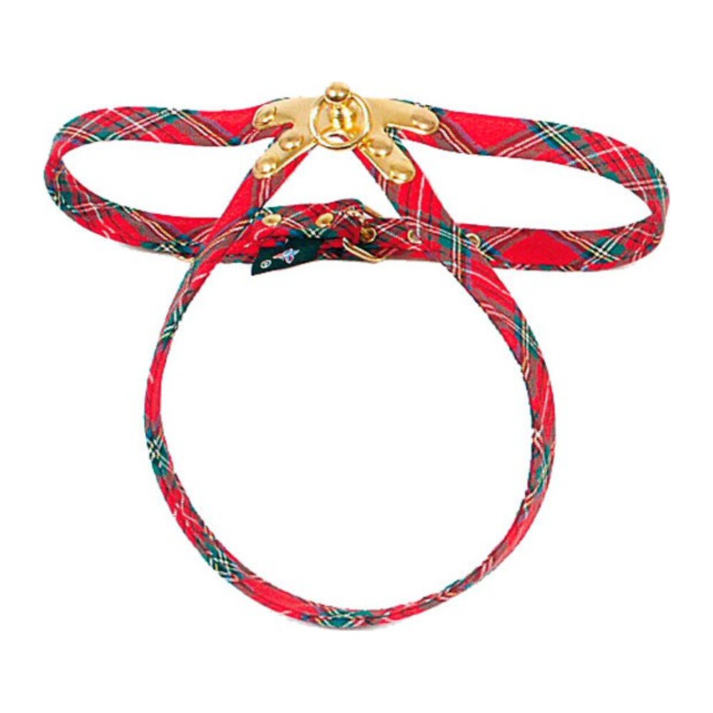 Arnes para perros de ECOSSAIS BENTON