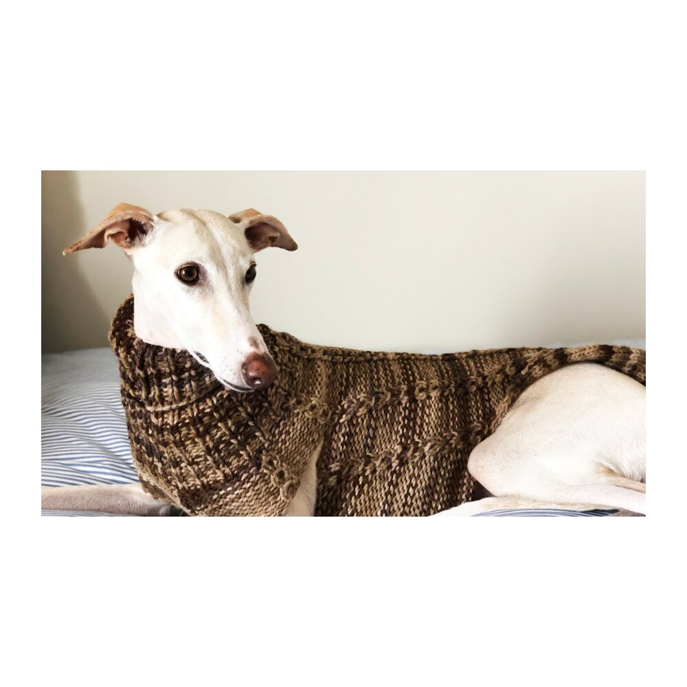 Jersey artesanal para galgo