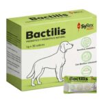 Bactilis perro, prebiótico y probiótico natural