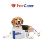 Medidor continuo de glucosa para perros y gatos - Imagen 2