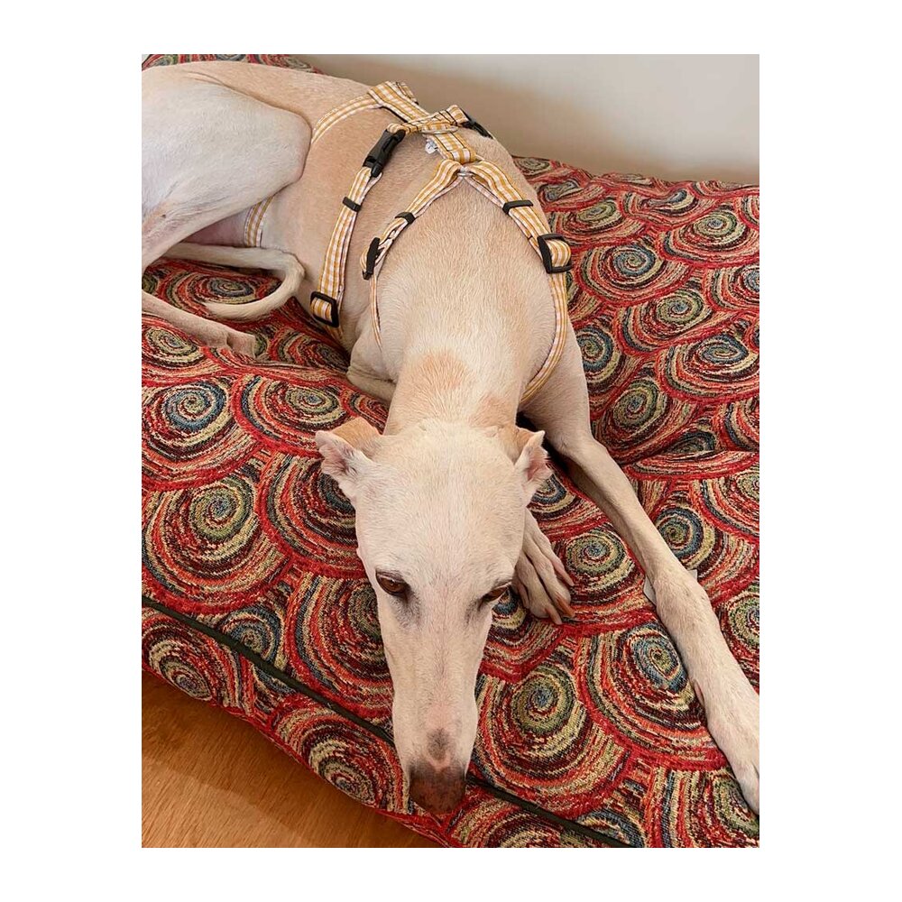 Image 21985 Arnés antiescape especial para galgos cuadros mostaza - Imagen 1