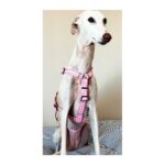 Arnés antiescape especial para galgos cuadros rosa