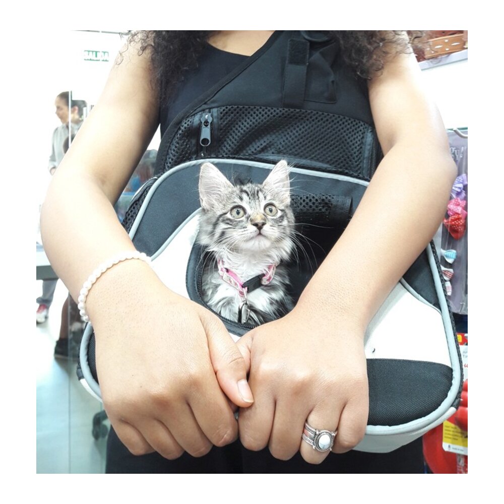Mochila frontal para transporte de gatos modelo Savina