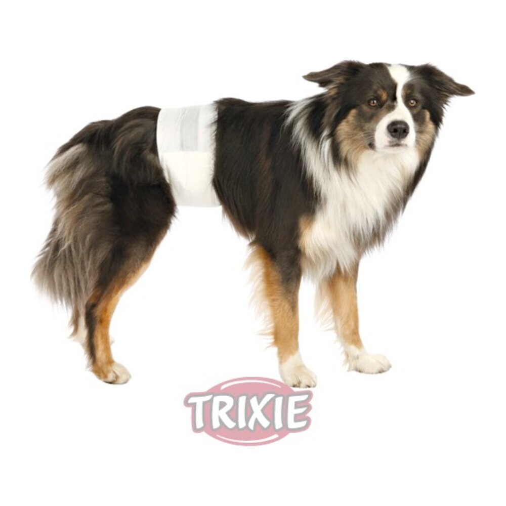 Pañales para perros, modelo machos