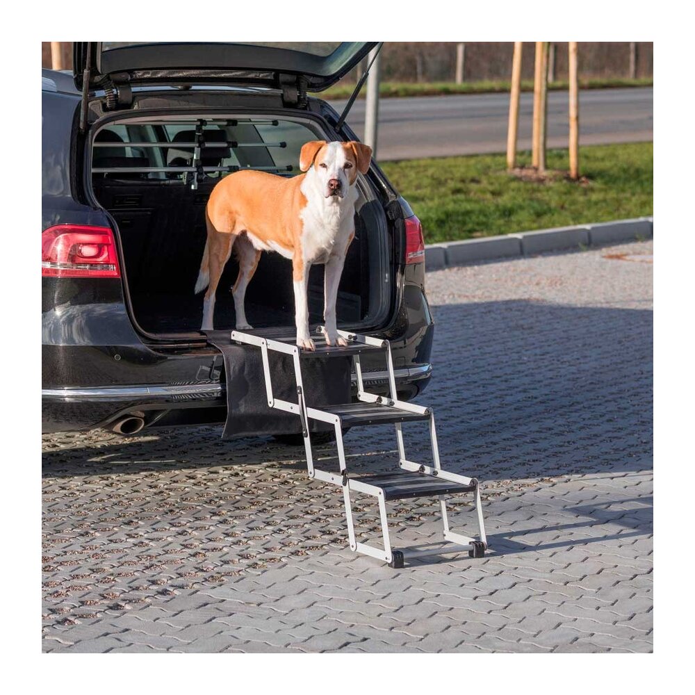 Escalera plegable de acceso a coche